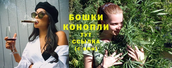 амф Магас