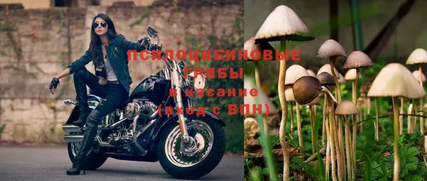 амф Магас