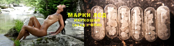амф Магас