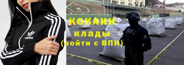 амф Магас