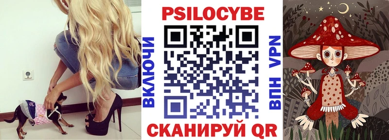 Псилоцибиновые грибы Psilocybine cubensis  как найти закладки  Маркс 
